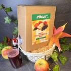 Apfel Holundersaft BaginBox - 113820700000 - 0 - 140px