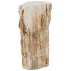 Darimana Fossiles Holz 3,5 - 4,5 kg - 113824400000 - 0 - 140px