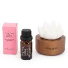 Laura Ashley Duftblume mit Öl Ylang & Musk - 113857300000 - 0 - 140px