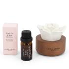 Laura Ashley Duftblume mit Öl Green Tea & Aloe - 113857400000 - 0 - 140px