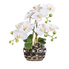 Orchidee in Ovalvase silber - 113882400000 - 0 - 140px
