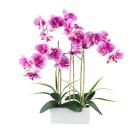 Orchidee Real Touch lila - 113882500000 - 0 - 140px