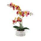 Orchidee Real Touch gelbpink - 113882700000 - 0 - 140px