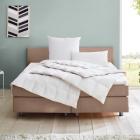 OBB Daunendecke Neuschwanstein 520g - 113908900000 - 0 - 140px