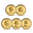 5er Set Goldmünzen "Queen Elizabeth II" - 113940600000 - 0 - 140px