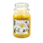 Price's Duftkerze Frangipani 630gr - 113971300000 - 0 - 140px