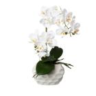 Orchidee Real Touch 33cm - 114006100000 - 0 - 140px