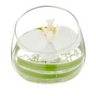 Weiße Orchidee im Glas - 114006600000 - 0 - 140px