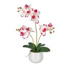 Orchidee Pink-Creme Real Touch - 114006700000 - 0 - 140px