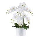 XXL-Orchidee Real Touch weiß 60cm - 114006800000 - 0 - 140px