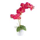 Orchidee pink im Keramiktopf 57cm - 114006900000 - 0 - 140px
