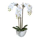 Orchidee Real Touch 51cm - 114007300000 - 0 - 140px