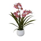 Orchidee dunkelrosa 50cm - 114007400000 - 0 - 140px
