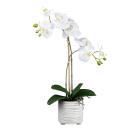 Orchidee im Keramiktopf weiß - 114007500000 - 0 - 140px