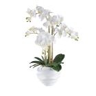 XXL-Orchidee weiß 70cm - 114007900000 - 0 - 140px