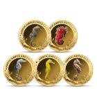 5er Set Goldmünzen "Underwater - Seahorses" - 114013800000 - 0 - 140px