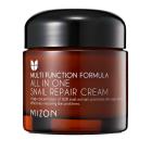 MIZON, ALL IN ONE SNAIL REPAIR CREAM 75 G - 114202700000 - 0 - 140px