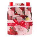 AURORA ROSA Box Bouqet Pflege-Set 4-teilig - 114334000000 - 0 - 140px
