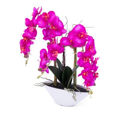 Orchidee 53cm in Keramikschale lila
