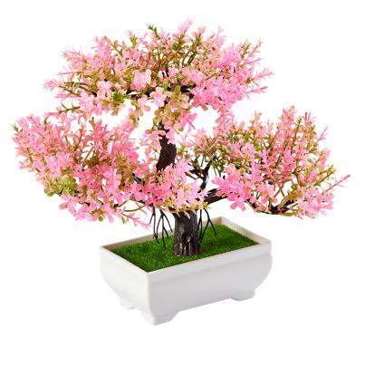 Blühender Bonsai rosa
