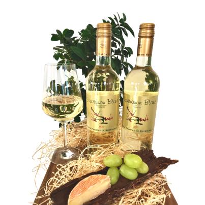 Rothschild Sauv Blanc 2er 