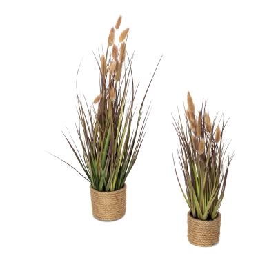 2er Set Lagurusgras rosa 44 und 60 cm