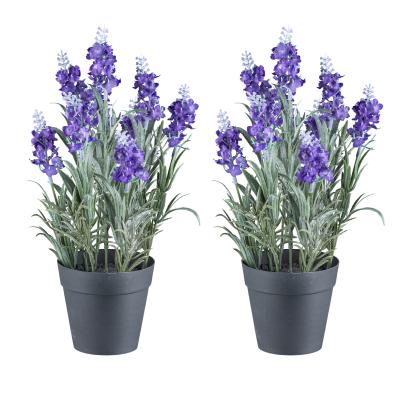 2er Set Lavendel lila