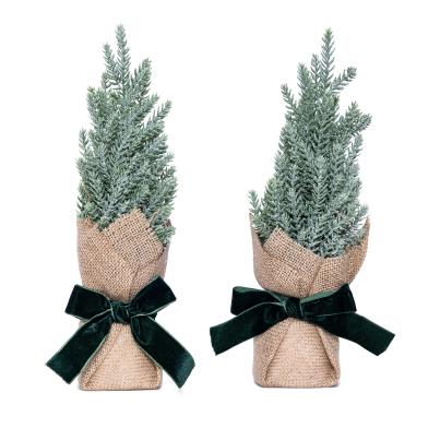 Koniferenbäumchen im Jutesack 2er Set
