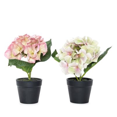 Hortensien 2er Set 20cm
