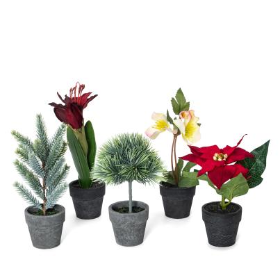 Weihnachtsblumen Set 5tlg.