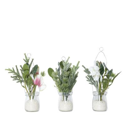 Winterblütenset im Glas Set 3