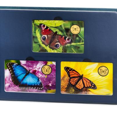 3er Set Coincard "Schmetterlinge"