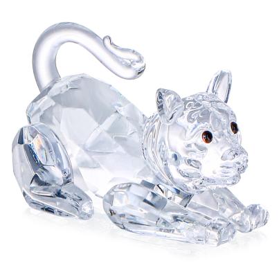 Crystal Dreams Kätzchen