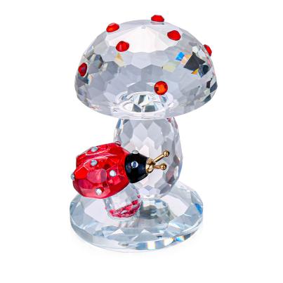 Crystal Dreams Glückspilz mit Käferchen