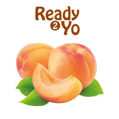 Ready2Yo Früchtetraum Aprikose 140g