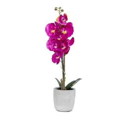 LED-Orchidee lila 47cm
