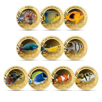 10er Set "The Most Interesting Coral Fish"