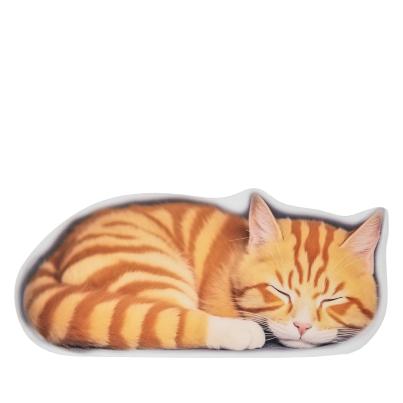 3D-Fußmatte Kater Willi