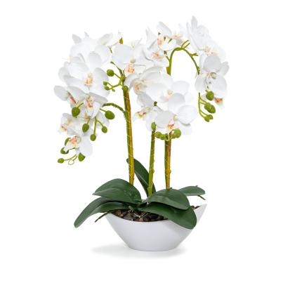 Beleuchtete Orchidee 45cm Real-Touch