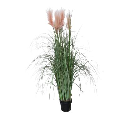 Beleuchtetes Pampasgras 140cm altrosa