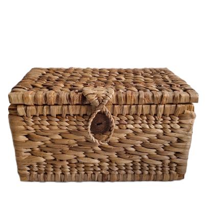 Darimana Truhe Seegras