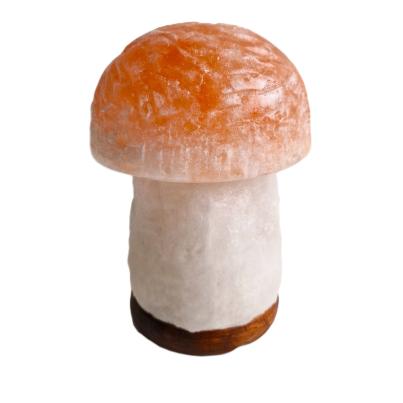 Darimana Salzkristall-Lampe