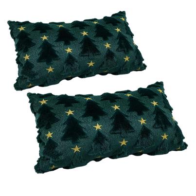 Weihnachtskissen 2er Set 50x30cm