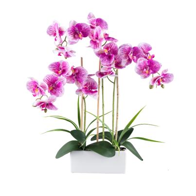 Orchidee Real Touch lila
