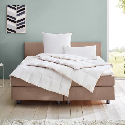 OBB Daunendecke Neuschwanstein 520g