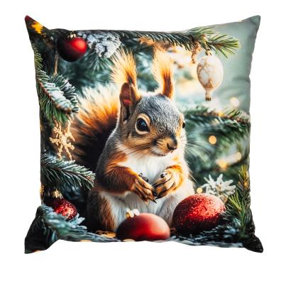 LED-Kissen Eichhörnchen 40x40cm