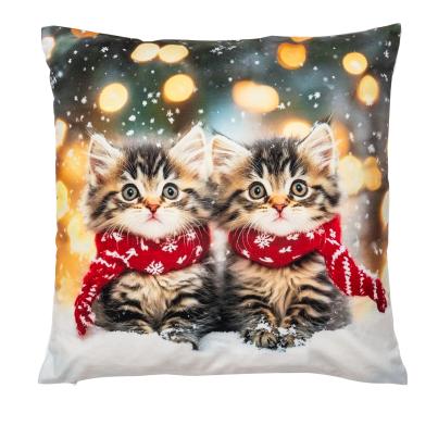 LED-Kissen Babykatzen 40x40cm