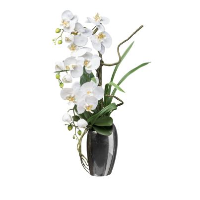 Luxus-Orchidee in Silbervase 68cm