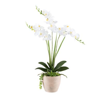 Real Touch Orchidee weiß 55cm