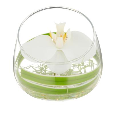 Weiße Orchidee im Glas